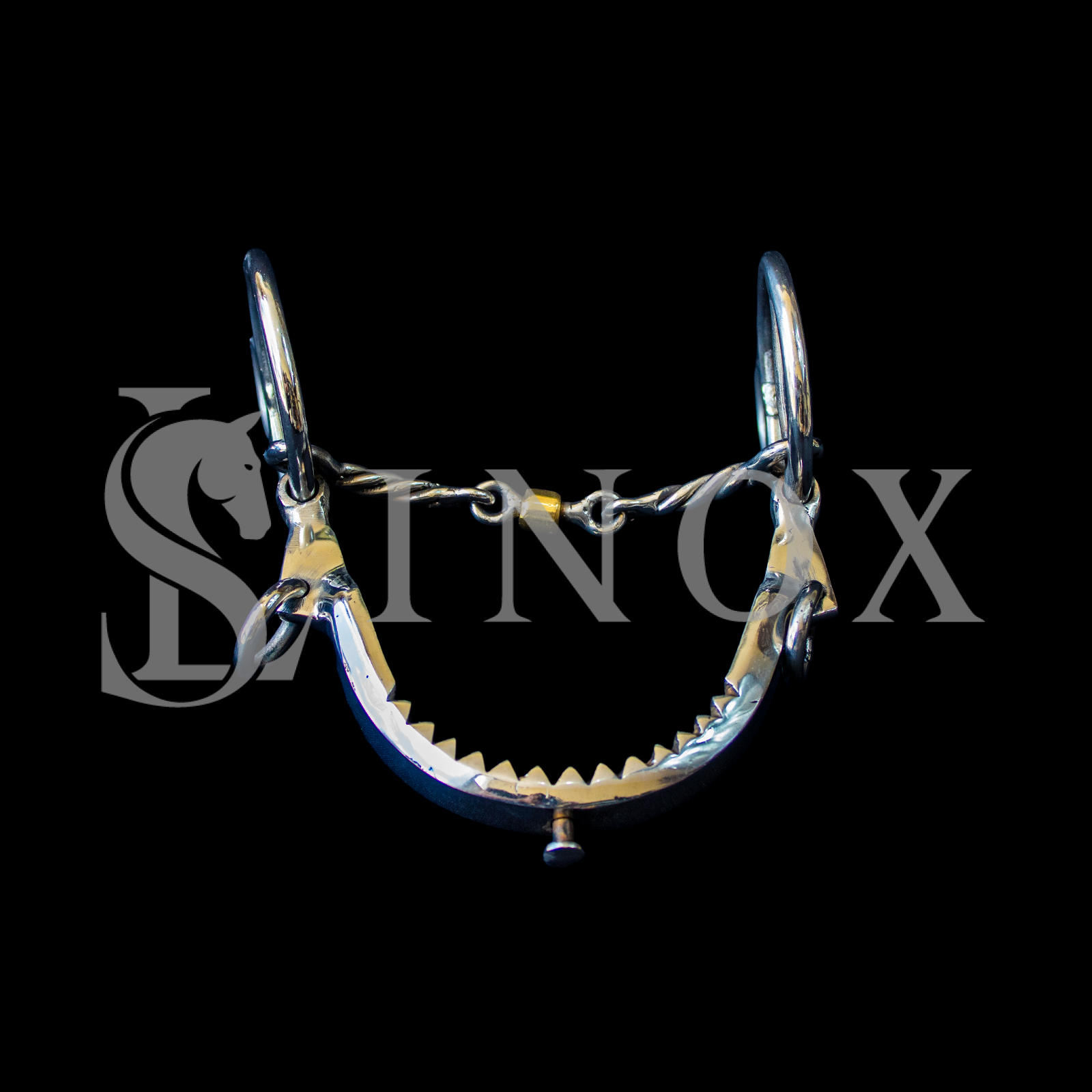 ARREIO DE DOMA - Imagem 6