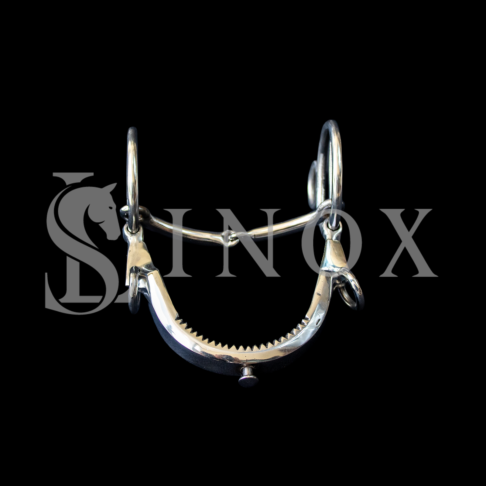 ARREIO DE DOMA - Imagem 2