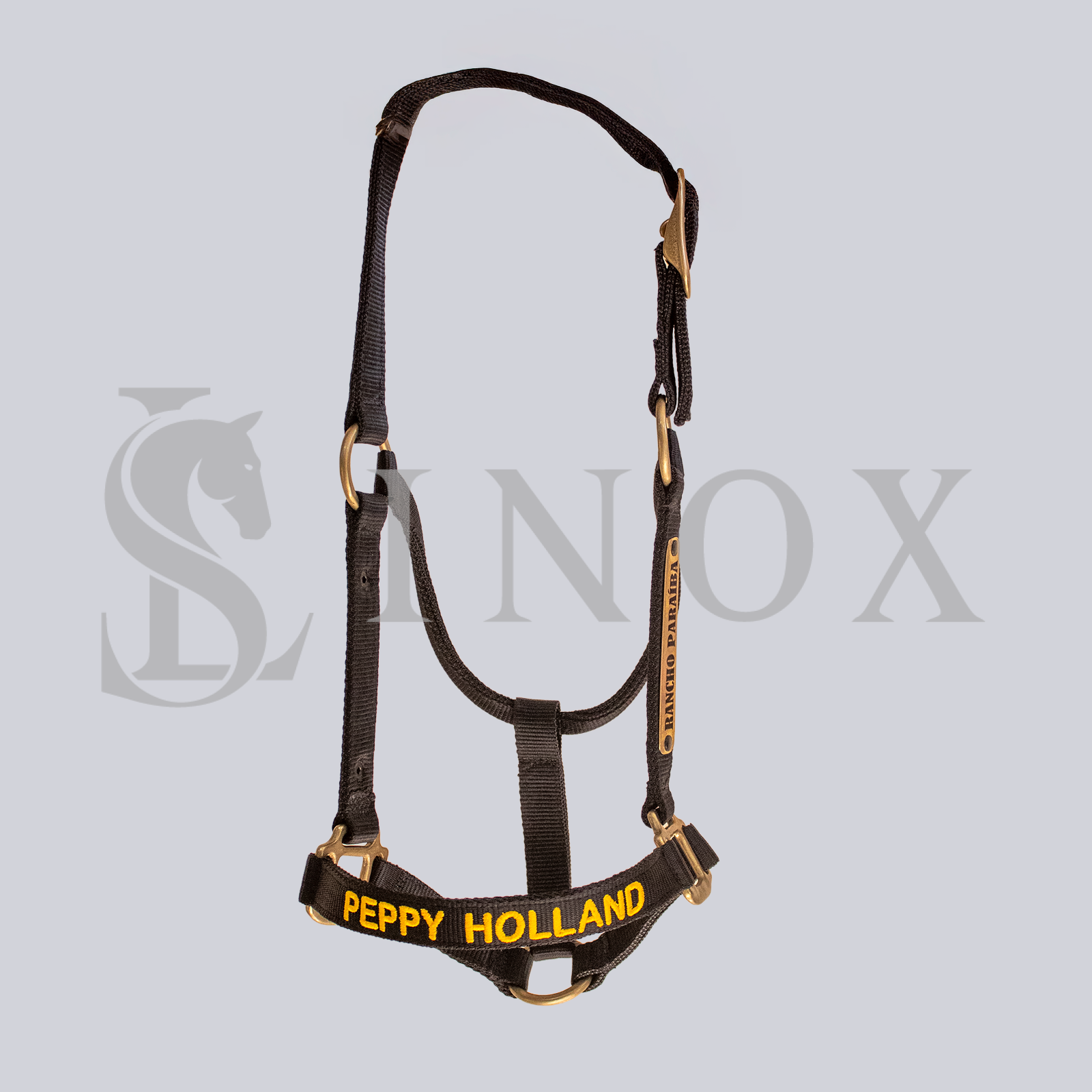 CABRESTO FERRAGEM DOURADA - 2 PLACAS - Imagem 2