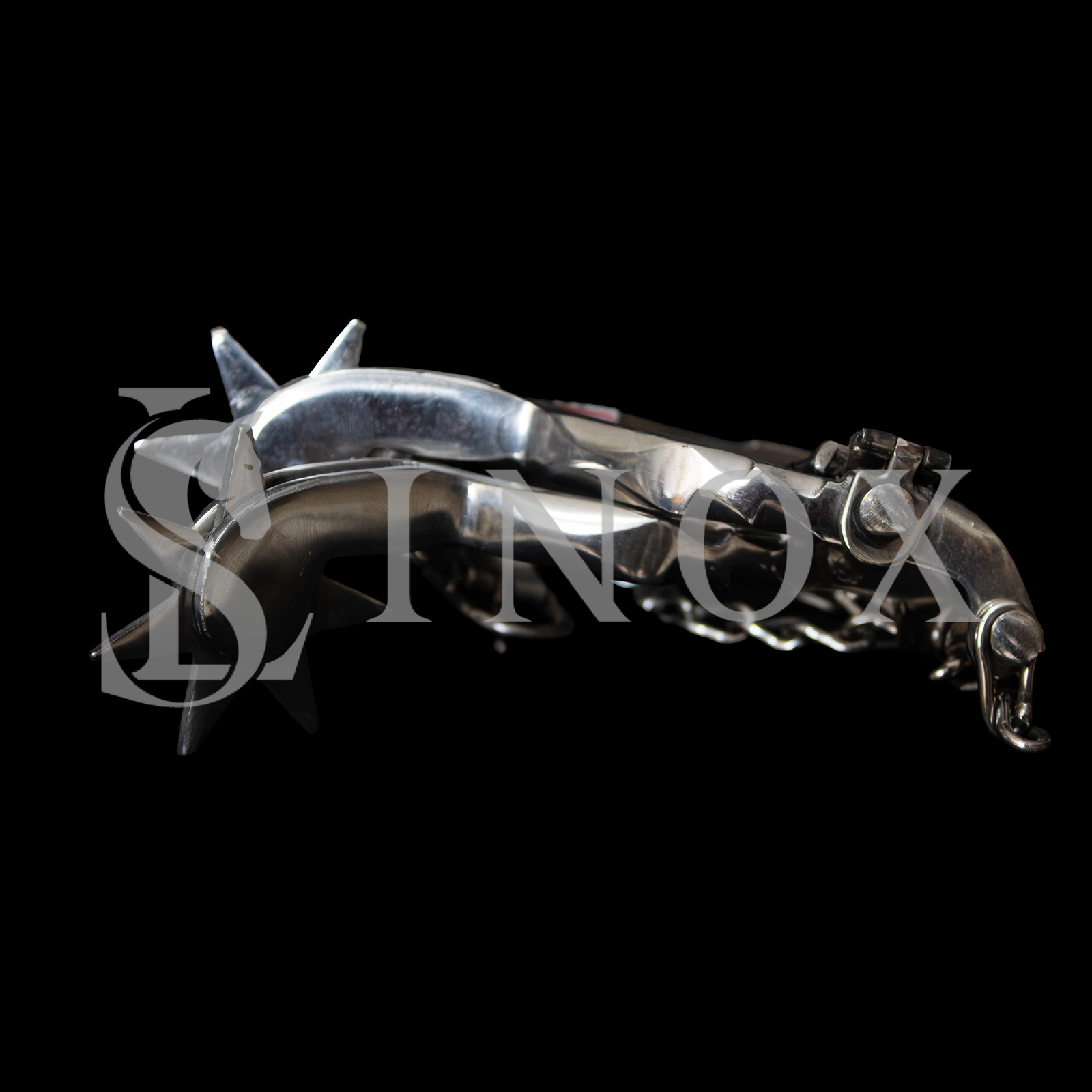 ESPORA 015 - Imagem 5