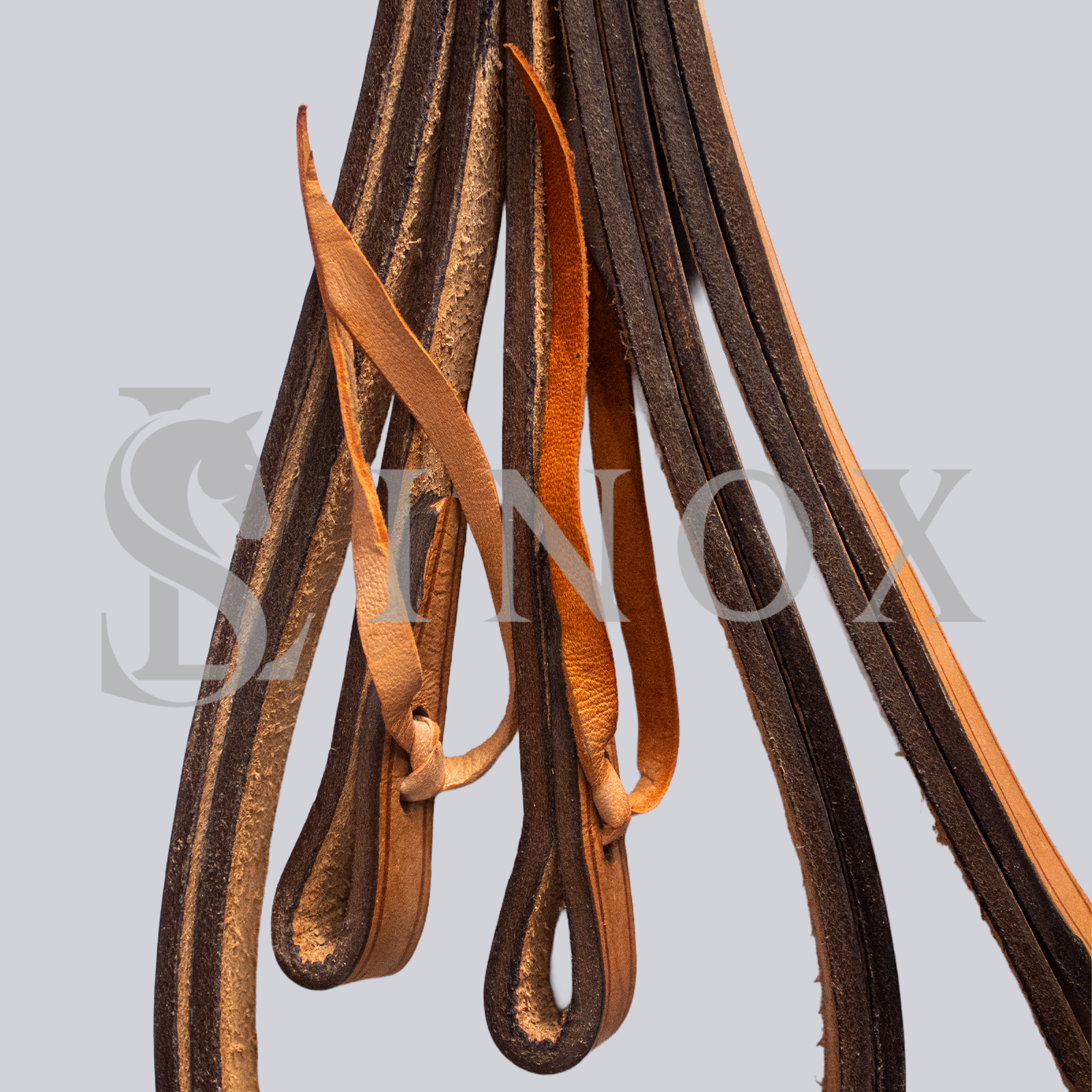 RÉDEAS ABERTA - Imagem 2