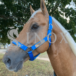 CABRESTO FERRAGEM AÇO INOX - 2 PLACAS