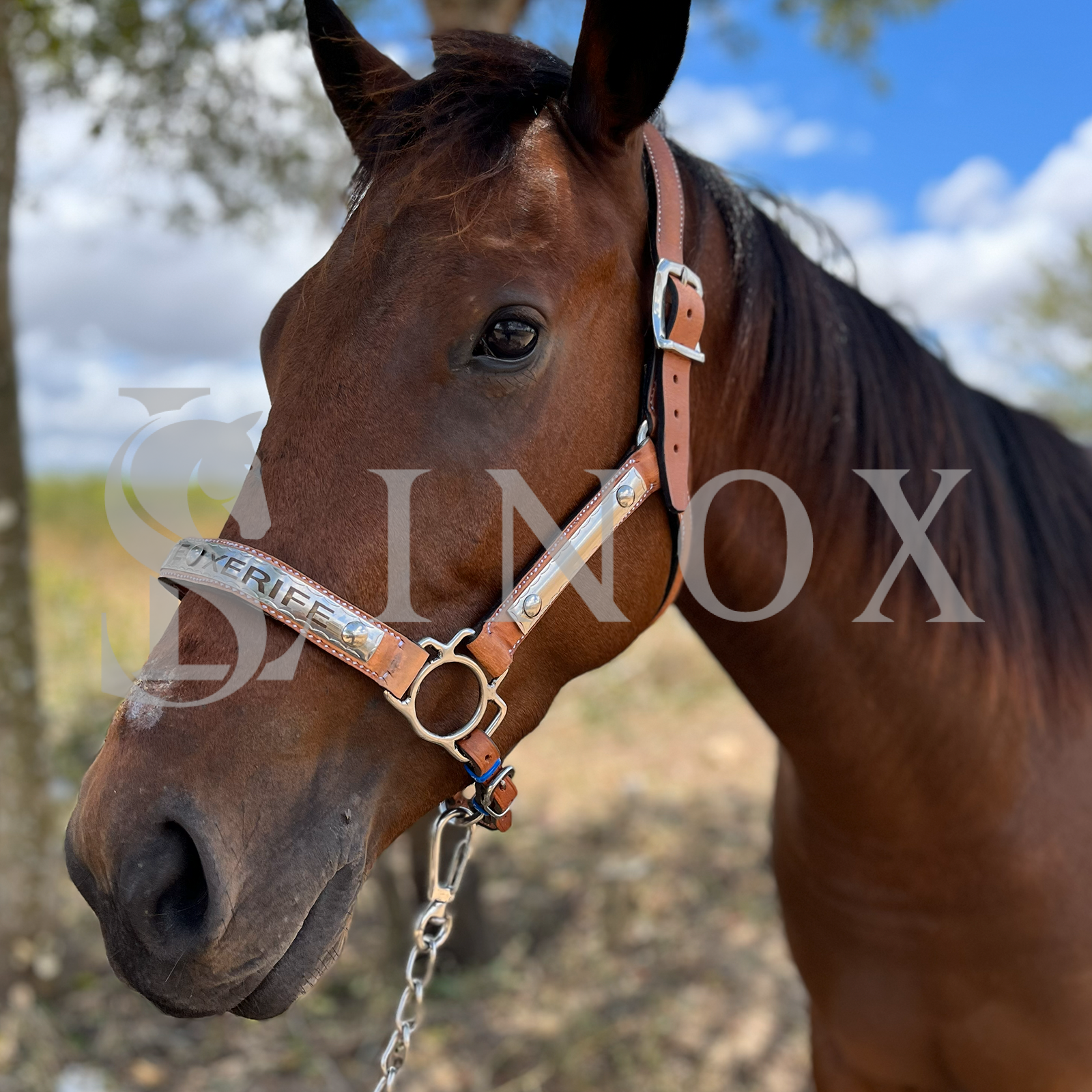 CABRESTO PREMIUM - COURO E AÇO INOX - Imagem 2