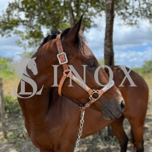 CABRESTO PREMIUM - COURO E AÇO INOX