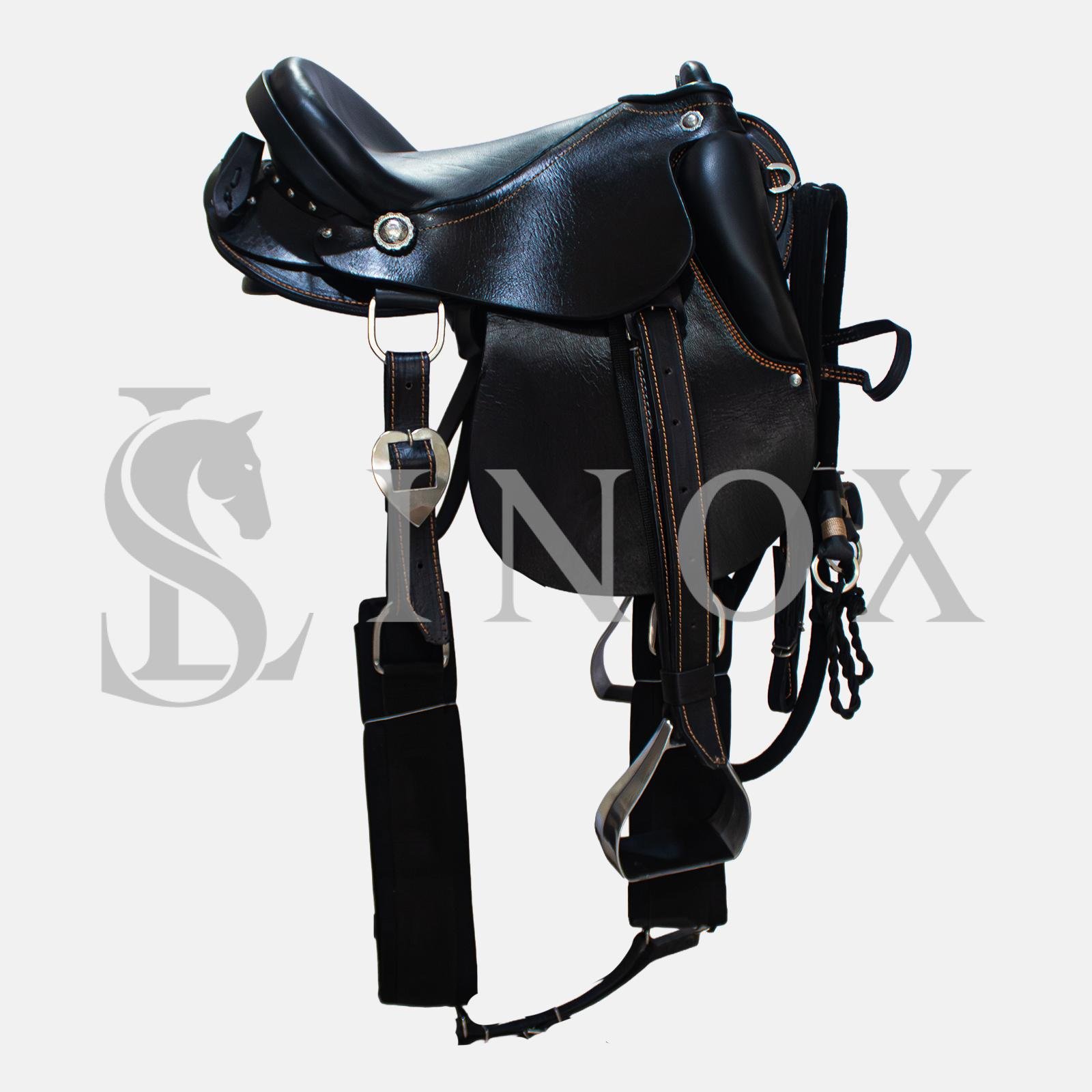 SELA AUSTRALIANA - PISTA DNA ANDRADE (78986444185503)