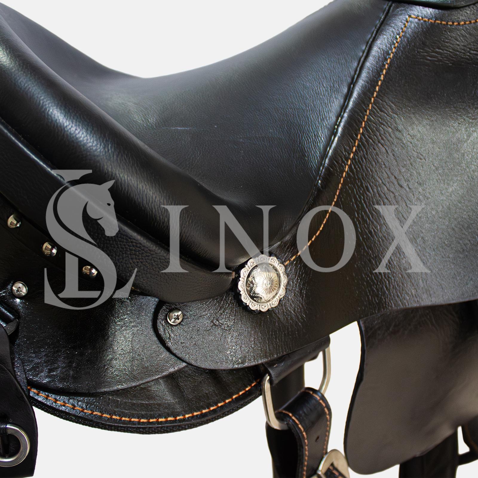 SELA AUSTRALIANA - PISTA DNA ANDRADE (78986444185503) - Imagem 3